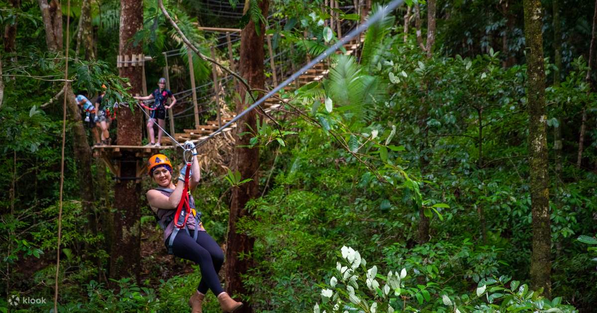 Ziplining In Canopy Tour Daintree Rainforest Klook Ziplining In Canopy Tour Daintree Rainforest Klook